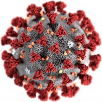 Coronavirus2019 200