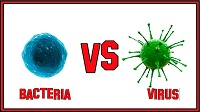 bacterie virus 200