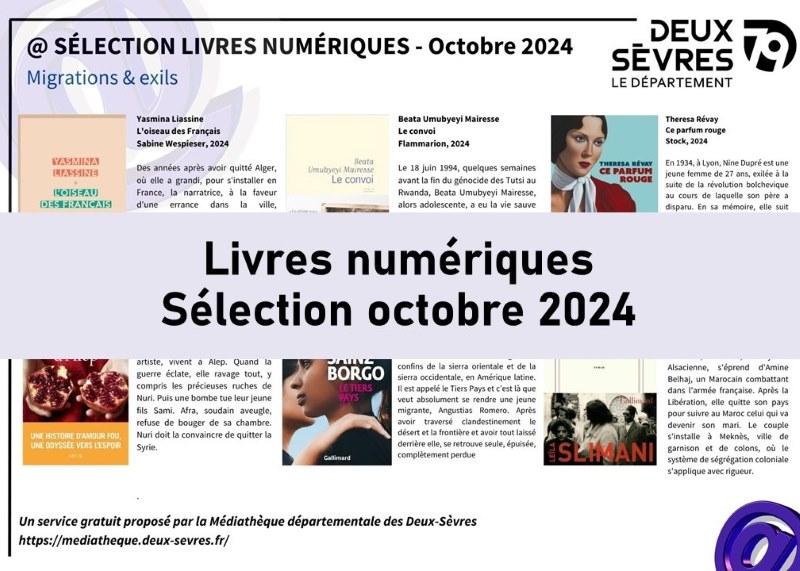 Visuel Newsletter Octobre 2024 Livres Numériques